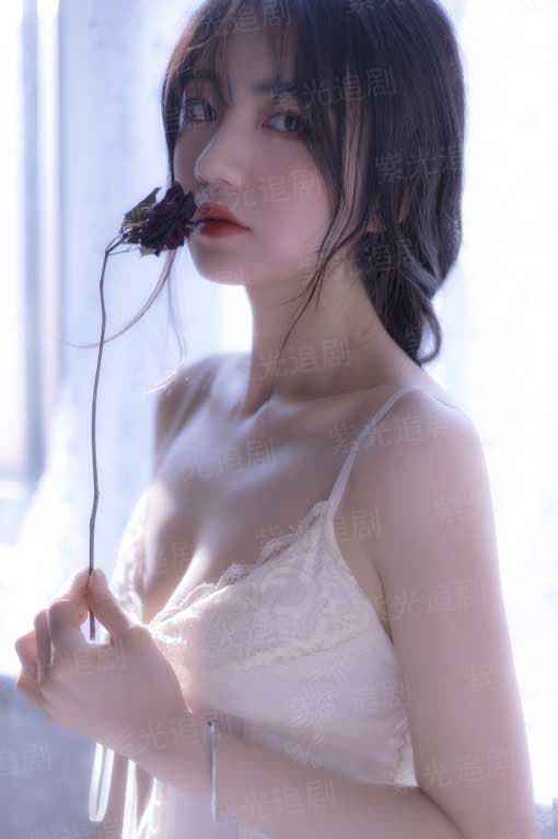 止爱于婚