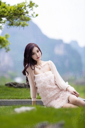 少帅，夫人又在闹离婚