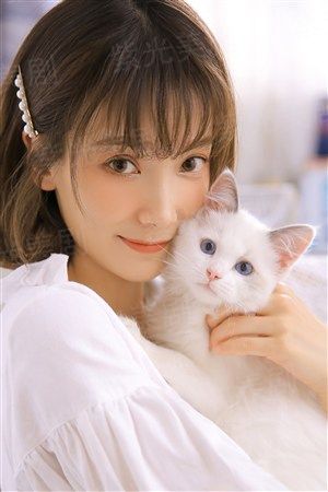 再见