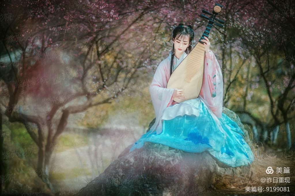 战争之花