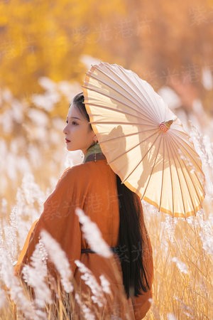 大王别慌