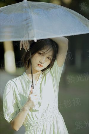 泽念浅城