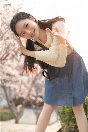菩提树下大结局