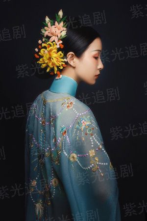 纵横官场之权色无边（一号红人）