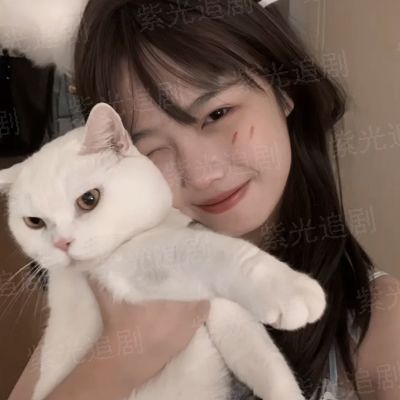 王爷你好贱