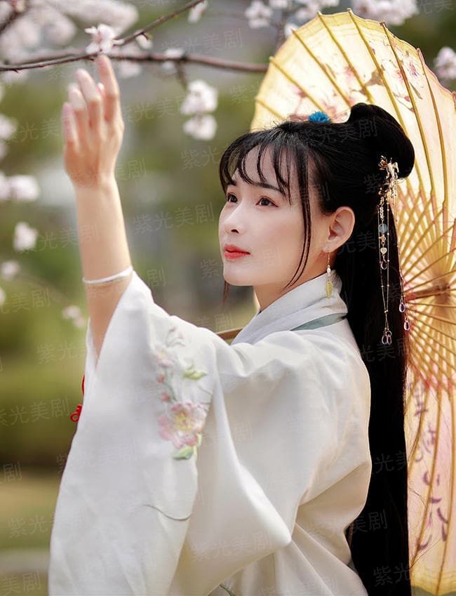 我的异界直播间