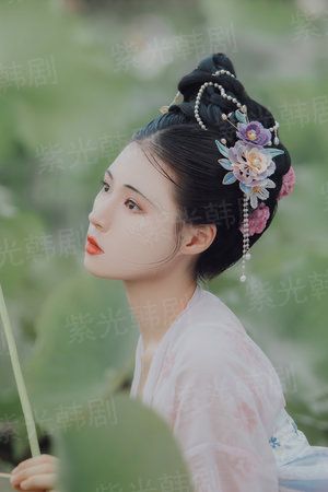南天登仙