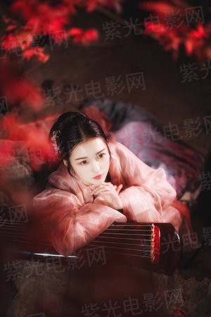 海贼之求生日志