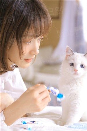 相棒第20季