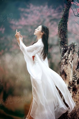 神偷皇妃：本宫要转正