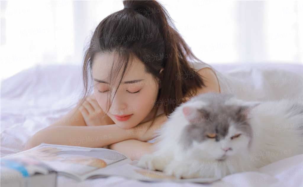 大宋绯闻录